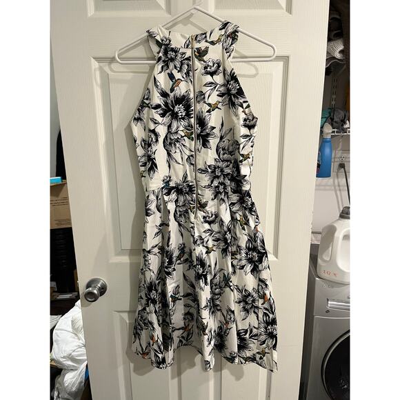 cb Dress Hummingbird Fit And Flare Size 8 - Picture 4 of 5